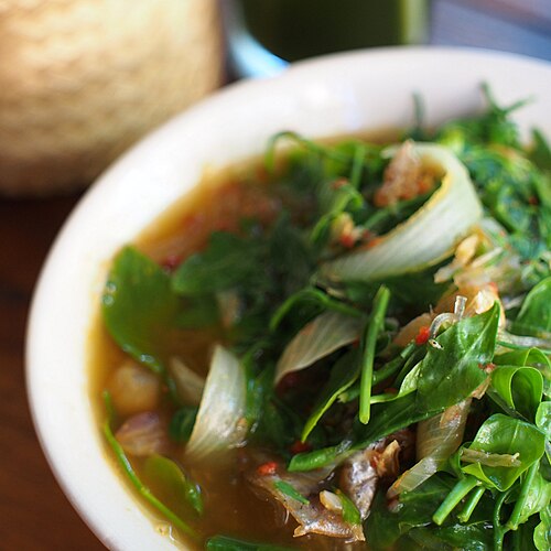 Kaeng pa